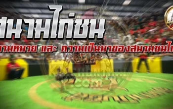 สนามไก่ชน ความหมายและความเป็นมาของการสร้างสนามชนไก่ เพื่อวัถตุประสงค์อะไรบ้าง