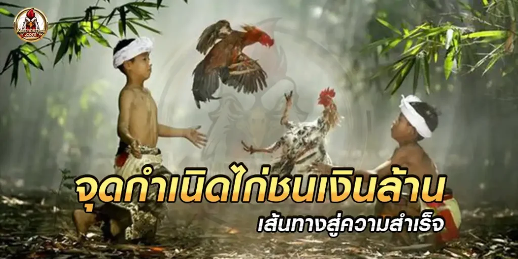 เส้นทางสู่ความสำเร็จ จุดกำเนิดไก่ชนเงินล้าน ต้องผ่านอะไรมาบ้าง