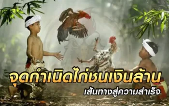 เส้นทางสู่ความสำเร็จ จุดกำเนิดไก่ชนเงินล้าน ต้องผ่านอะไรมาบ้าง