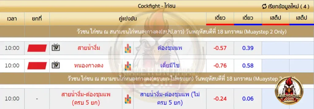 ราคาไก่ชน 18 มกราคม 2567 สนามชนไก่หนองกางดง(สปป.ลาว)