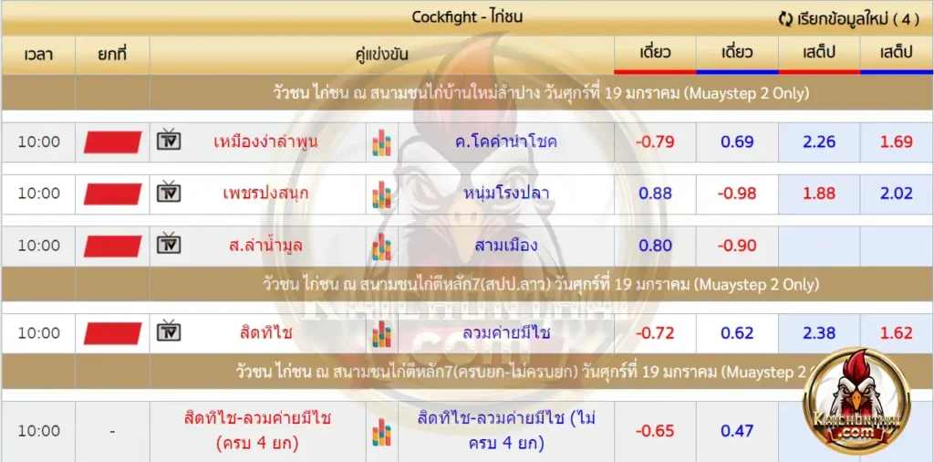 ราคาไก่ชน 19 มกราคม 2567 สนามชนไก่บ้านใหม่ลำปาง และ สนามชนไก่ตีหลัก7(สปป.ลาว)