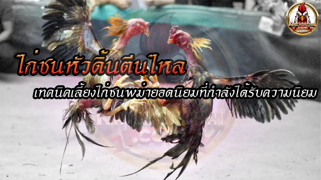 ไก่ชนหัวดิ้นตีนไหล