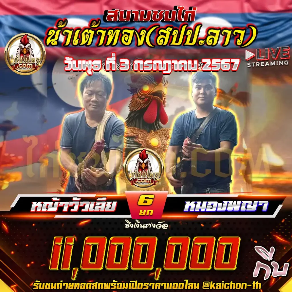 หญ้าวัวเลีย พบกับ หนองพญา ชนจำนวน 6 ยก เดิมพัน 11,000,000 กีบ