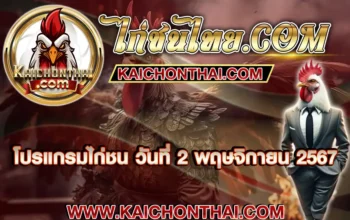 โปรแกรมไก่ชน 02 พฤษจิกายน 2567